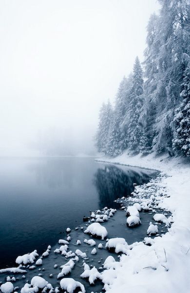 70867918 (390x600, 37Kb)