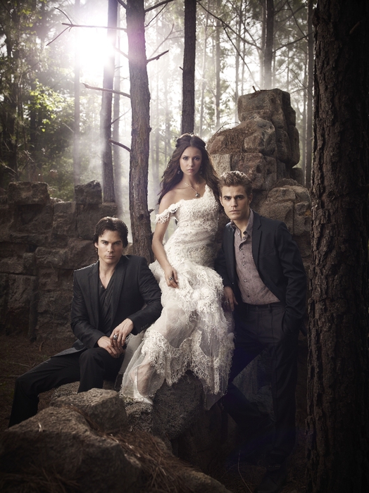 Vampire_Diaries_S2_0 (524x700, 281Kb)