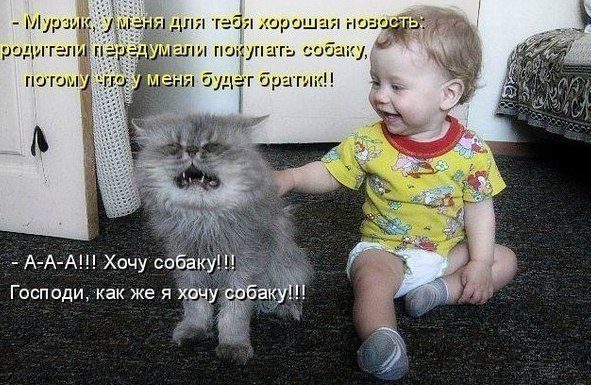 4326608__8Yrp3pdook (591x385, 88Kb)