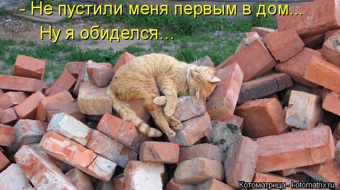 4326608_97118708_large_kotomatritsa_yF (700x390, 59Kb)