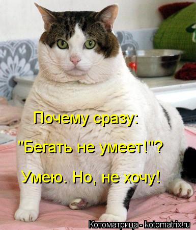 4326608_kotomatritsa_2F (385x450, 34Kb)