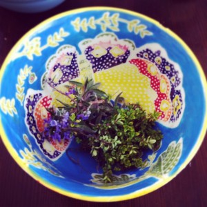 photo-42-300x300 (300x300, 35Kb)