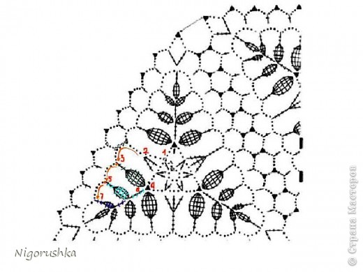 shal-6-shema (520x390, 48Kb)