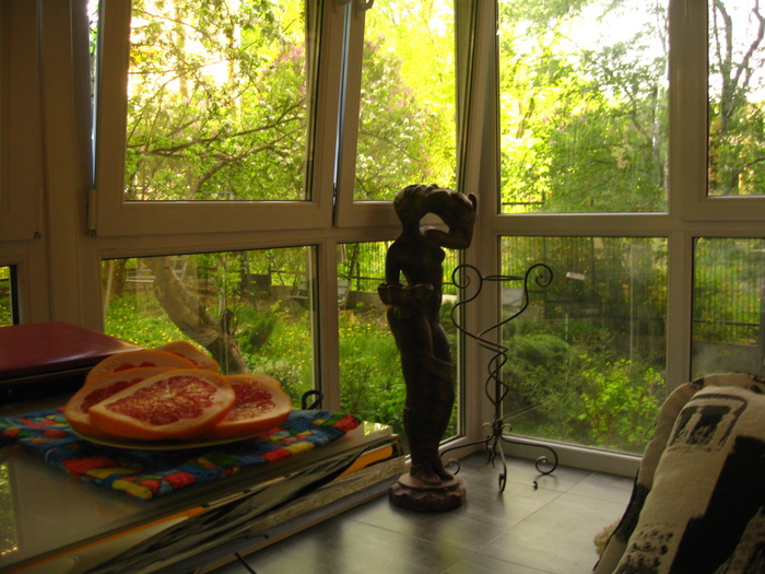 IMG_1628 (700x525, 213Kb)