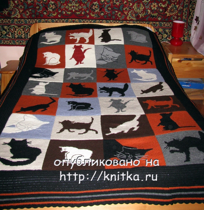 pled_koshki1 (679x700, 443Kb)