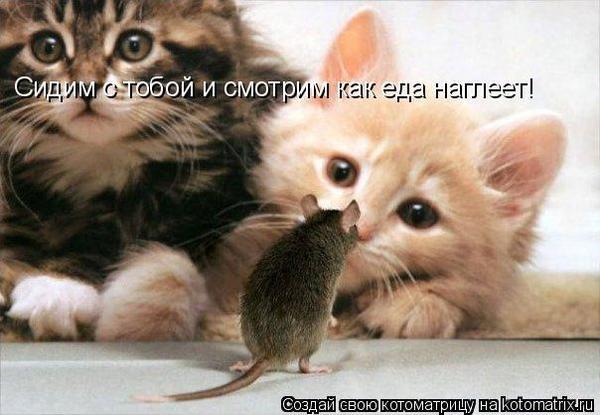 18574078 (600x415, 40Kb)