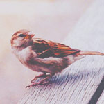 2245788_97450116_large_tumblr_lpjs6 (150x150, 9Kb)