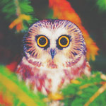 2245788_tumblr_lekz0uuGgV1qa1c6bo1_ (150x150, 12Kb)