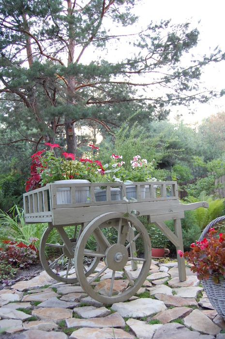 DSC_2637 (465x700, 264Kb)