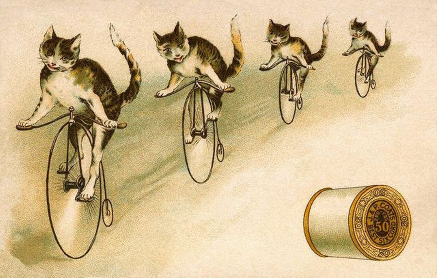 Vintage Cats. 