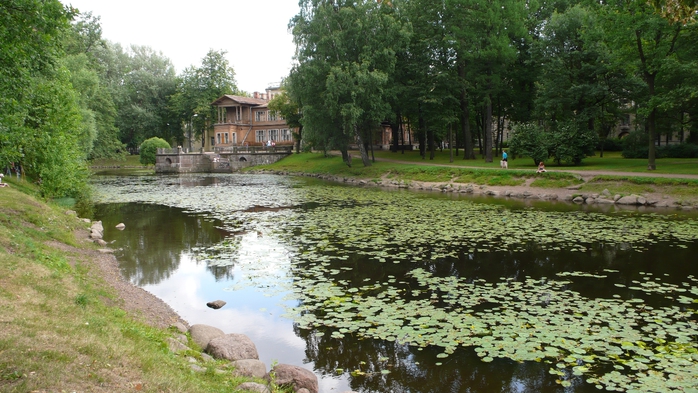 P1030667 (700x393, 271Kb)