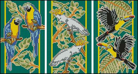 5068204_privet_iz_tropikov (558x300, 36Kb)