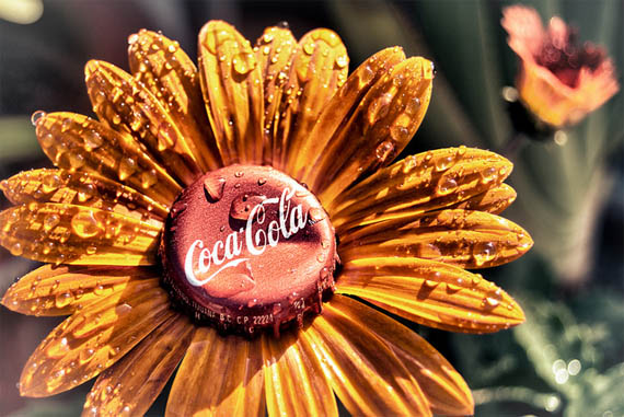   Coca-Cola  /2565092_Cola5 (570x381, 94Kb)