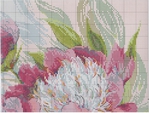  Stitchart-rozovye-piony2 (700x529, 387Kb)