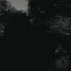 et1 (100x100, 81Kb)
