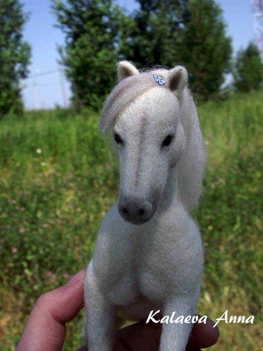 DSCF8035 (525x700, 245Kb)