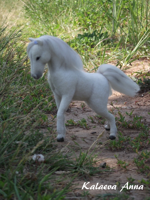 DSCF8020 (525x700, 323Kb)