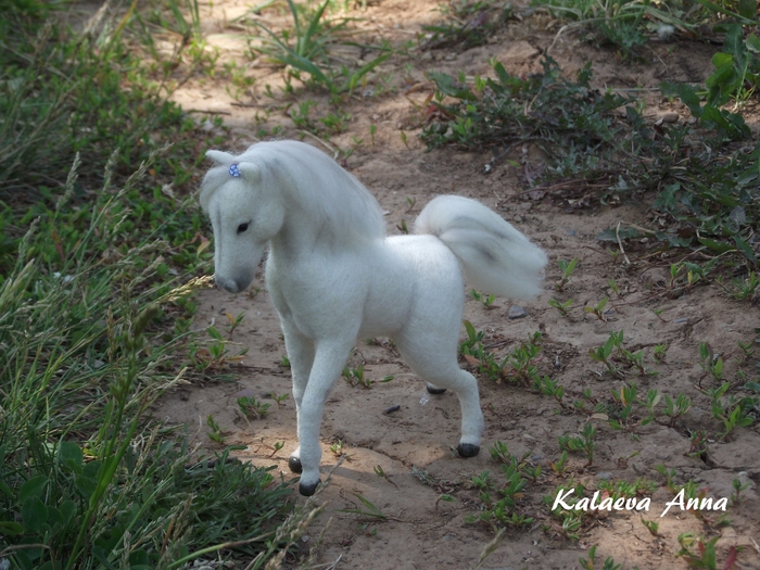 DSCF8016 (700x525, 327Kb)