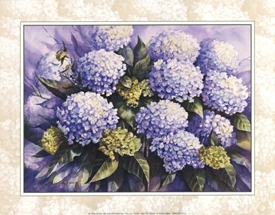 blue-hydrangea-by-peggy-thatch-sibley-437218 (400x313, 108Kb)