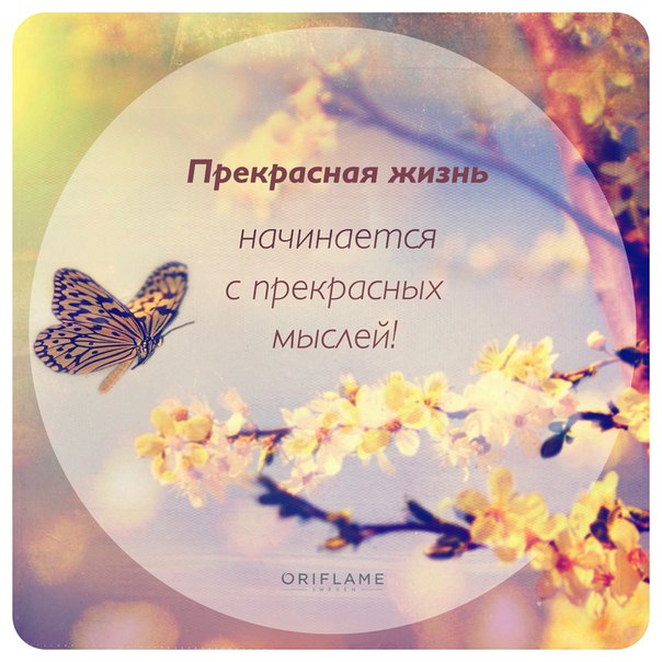 4803320_BQuHdDWxf0 (604x604, 74Kb)