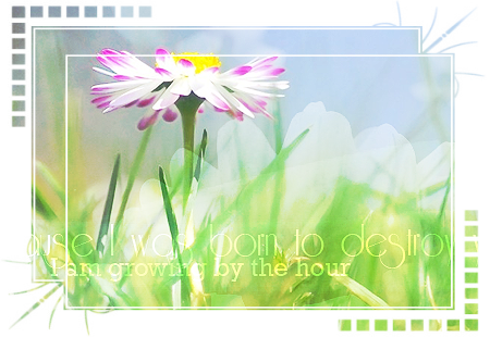 Epigraf (450x310, 272Kb)