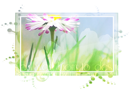 Epigraf2 (450x310, 274Kb)