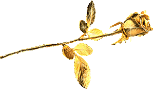 103276094__ (300x173, 23Kb)