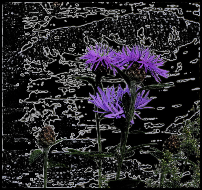 PK_I (700x659, 236Kb)