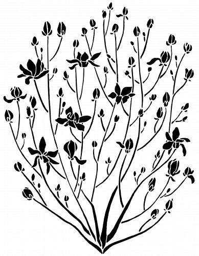 97746062_5ft_magnolia_bush_wall_stencil__reusable_diy_interior_design_decor_1719aa1b (389x500, 130Kb)