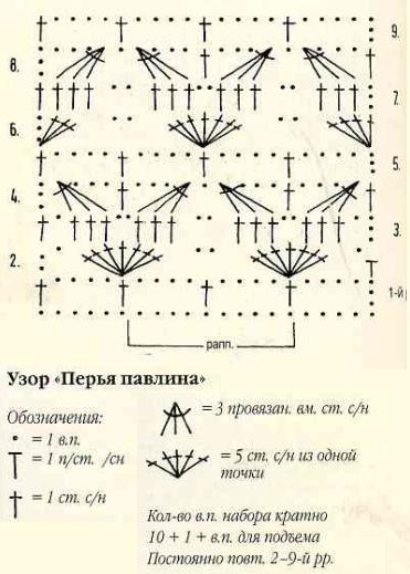 9-uzor-rakovina-sxema (371x519, 108Kb)