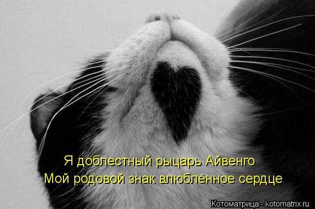 kotomatritsa_X_ (640x425, 153Kb)