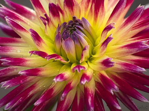 0_85124_e53edb1b_L (500x375, 103Kb)