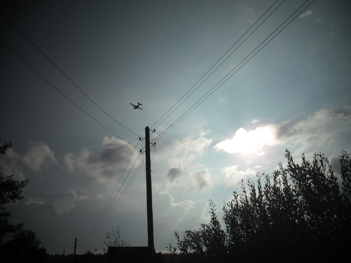 ,3  2013  (700x525, 119Kb)