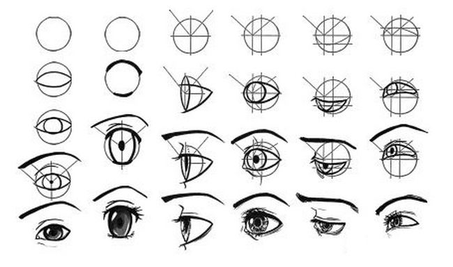 Глаз чертеж. Схема глаз человека для рисования аниме. Пропорции аниме глаза. Пропорции глаза человека для рисования. Пропорции глаза для рисования для начинающих.