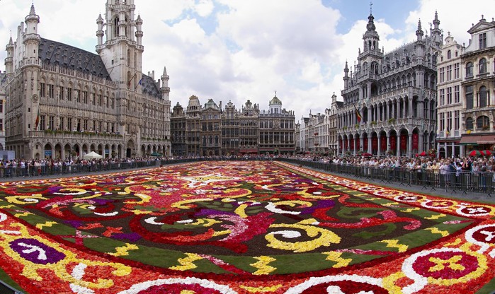 Brussels_floral_carpet_B-1024x609 (700x416, 131Kb)