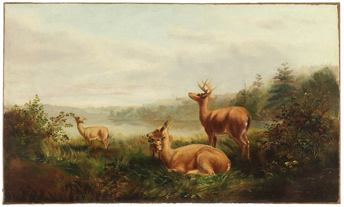 Adirondack Deer (700x420, 213Kb)