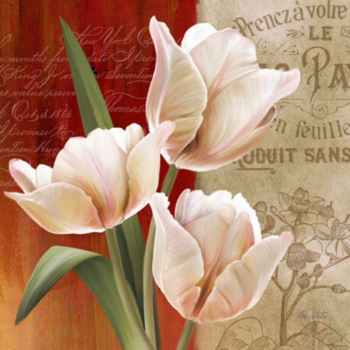 French Tulips II-72 (700x700, 295Kb)