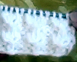 1- (312x252, 45Kb)