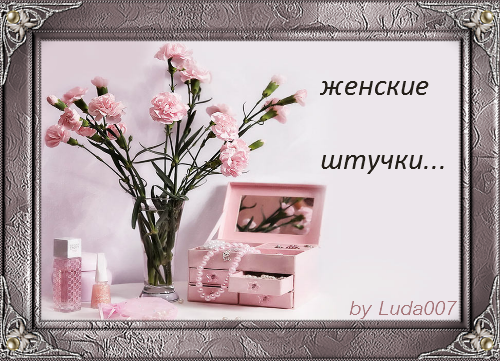 3427527_shtychki (500x361, 337Kb)