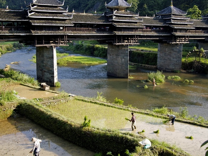 chengyang-bridge-5 (700x525, 352Kb)