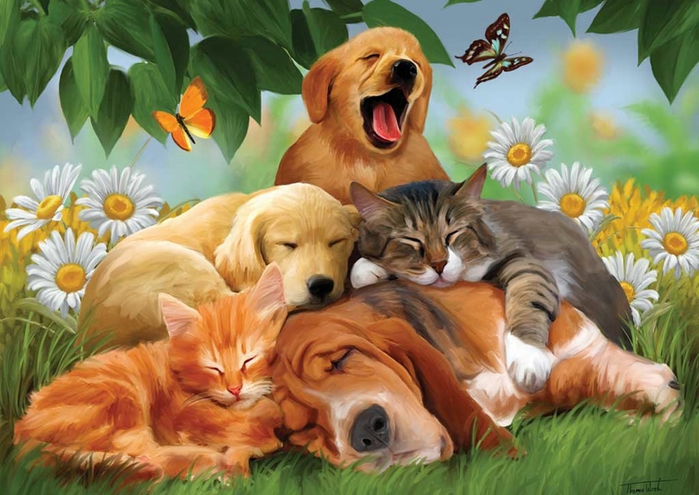 cats_and_dogs_02 (700x495, 264Kb)