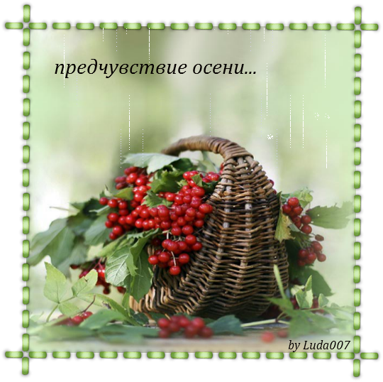 3427527_predchyvstvie (540x538, 515Kb)
