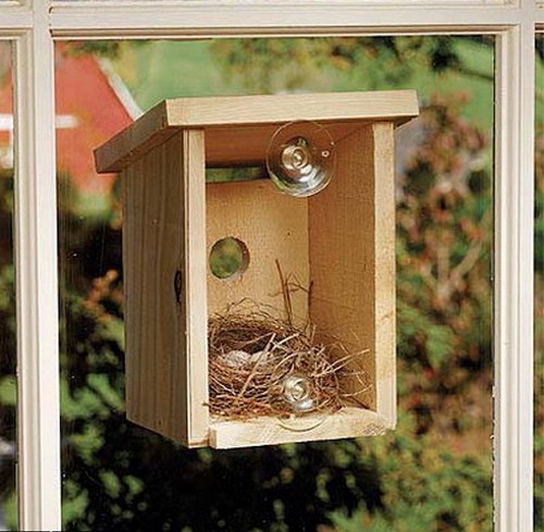 birdhouse9 (500x489, 150Kb)