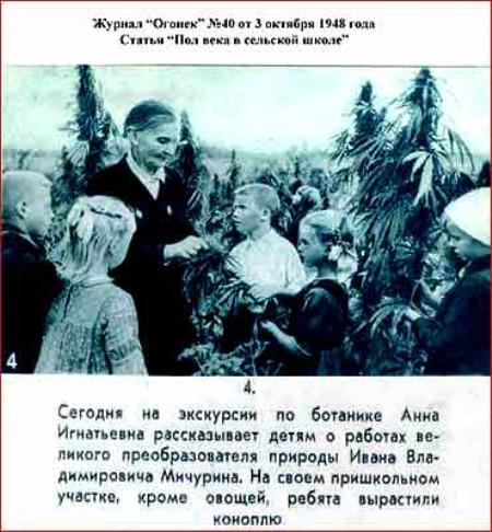 Конопля советский плакат марихуана вегетативный период