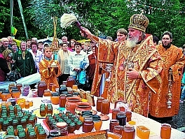 medovyy_spas (264x199, 126Kb)
