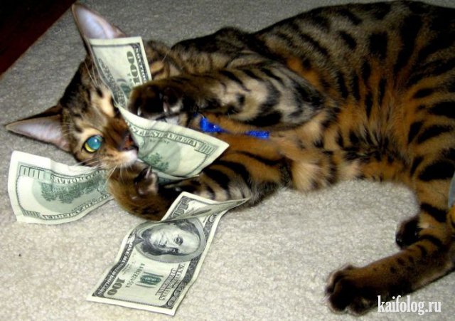 1342789063_044 (640x451, 67Kb)