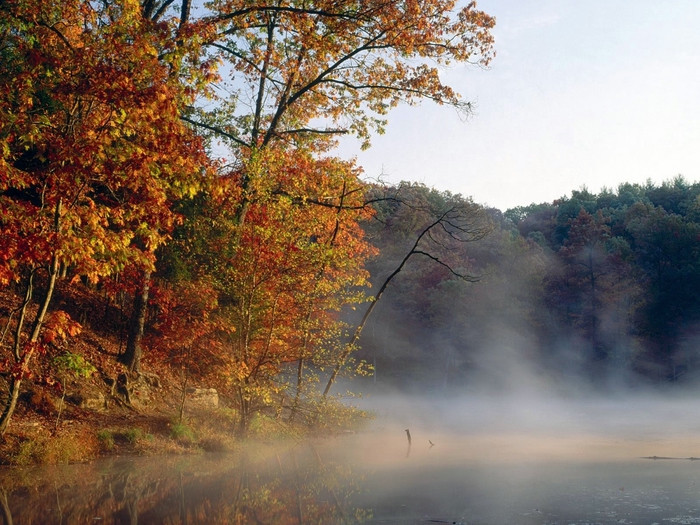 Mist and Autumn Color Along Strahl Lake, Indiana (700x525, 332Kb)