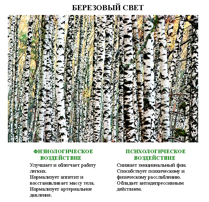 lechebnaja_fotografija2 (700x675, 210Kb)
