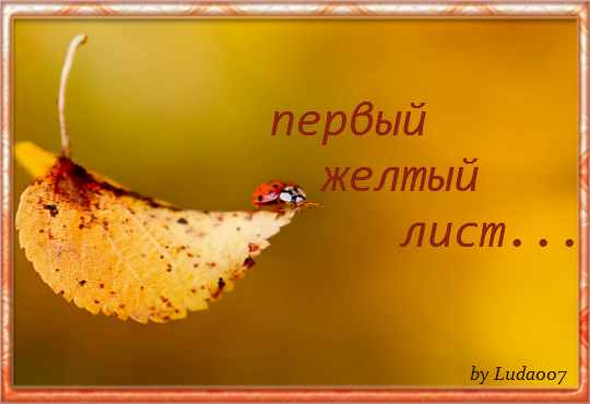 3427527_pervii (540x370, 242Kb)