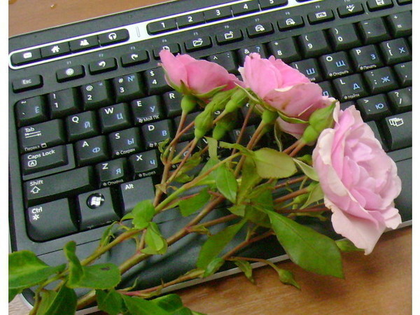 !_1_~1 (600x450, 92Kb)